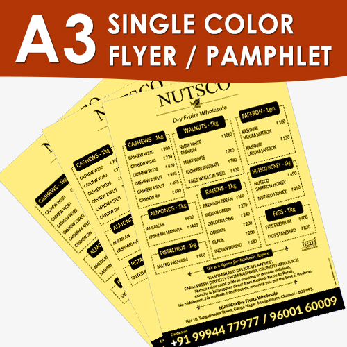 A3 Single Color Flyer / Pamphlet